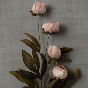 8 Ashland by Michaels Tan Peony Stems